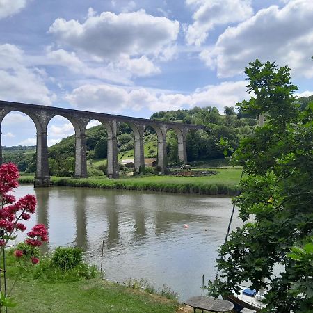 The Artist'S Retreat Apartment Calstock Luaran gambar