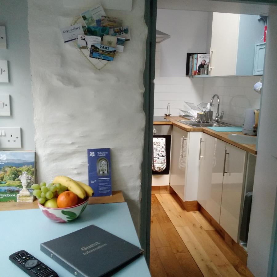 The Artist'S Retreat Apartment Calstock Luaran gambar