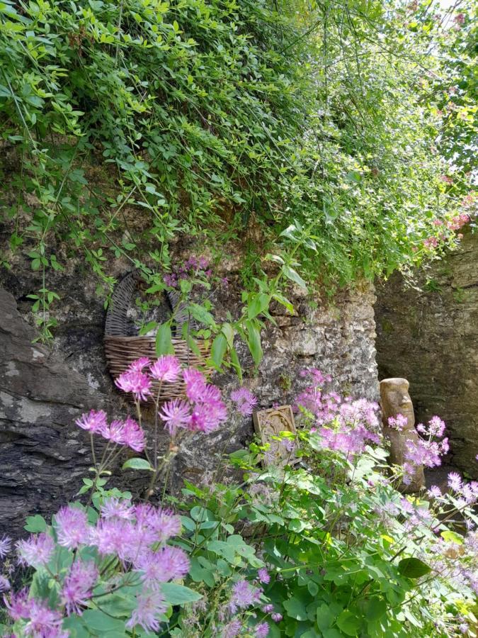 The Artist'S Retreat Apartment Calstock Luaran gambar
