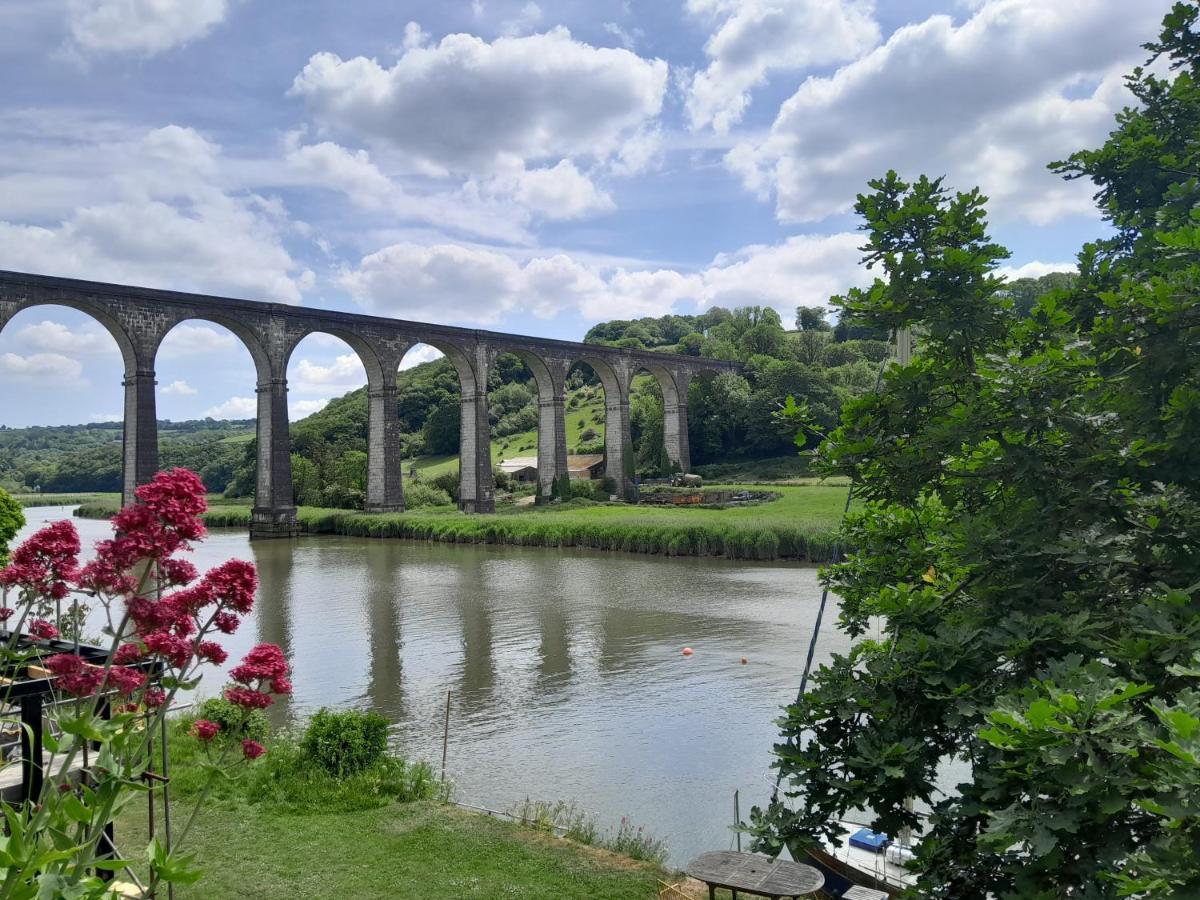 The Artist'S Retreat Apartment Calstock Luaran gambar